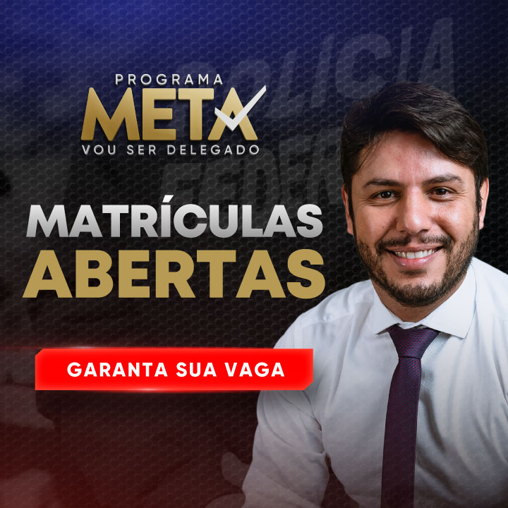 Programa Meta